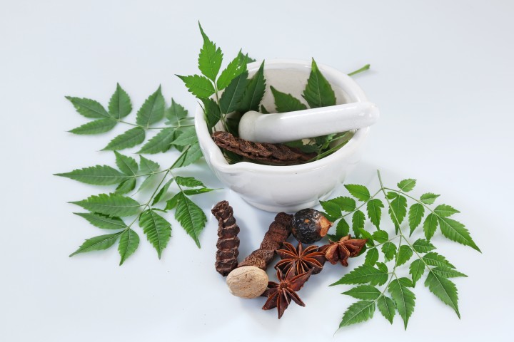 ayurvedic herbs with mortar and pestle
