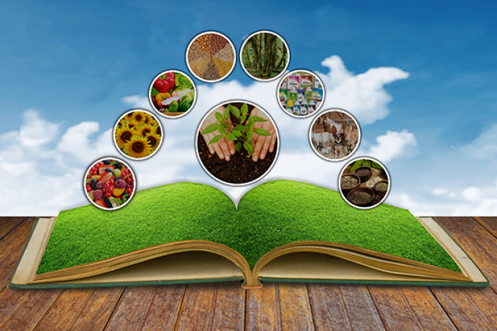 books Book image with a green background