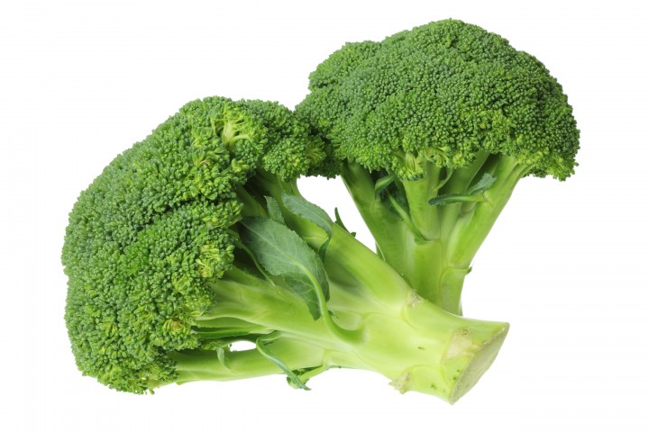 broccoli on white background