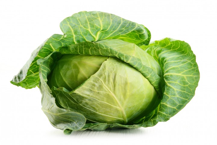 cabbage isolated on white