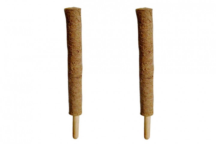 Two coir sticks medium hight isolated on white background