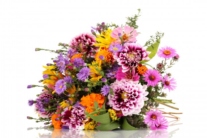 flowers beautiful bouquet of bright wildflowers isolated on white