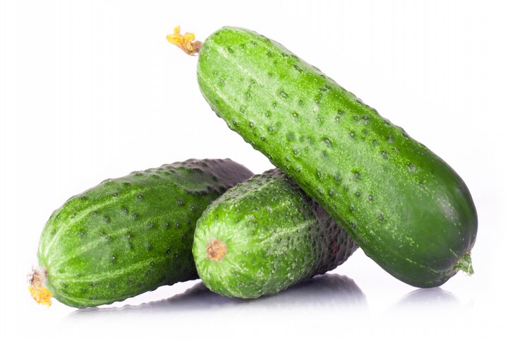 vitamin harvest of vegetables from three cucumber pickle gherkin with green sprigs of fresh