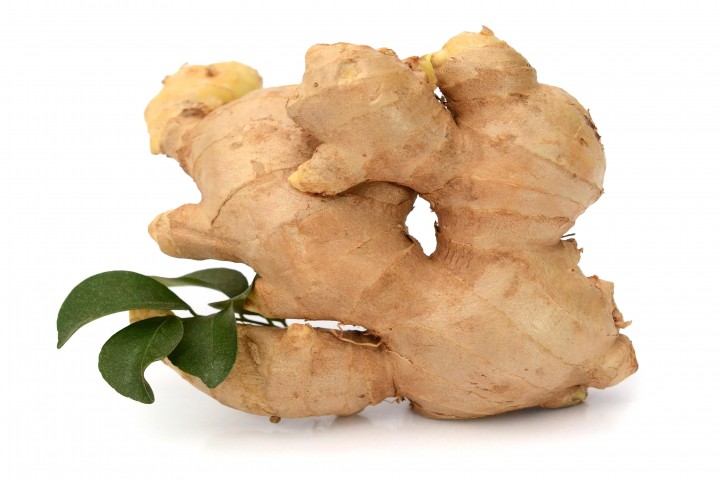 ginger isolated white background