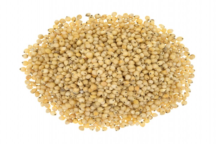 jowar top view of a portion of whole grain organic sorghum seeds isolated on a white background