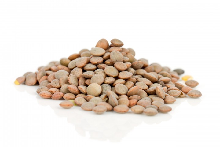 lentils isolated