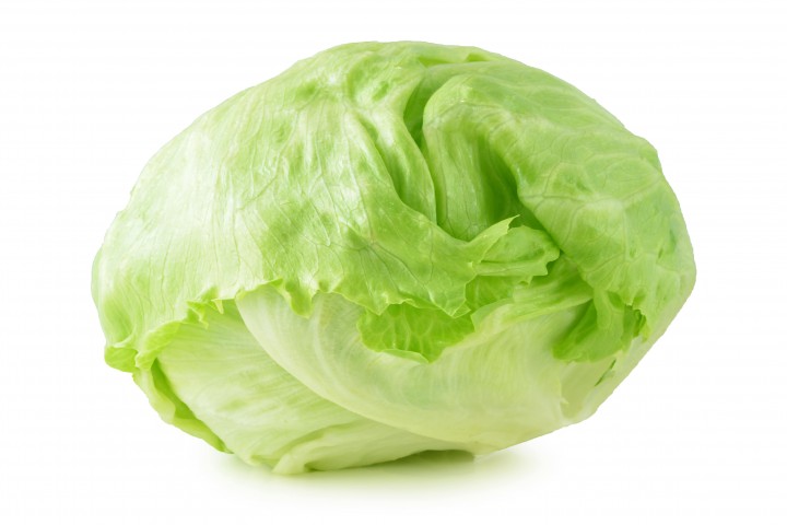 green iceberg lettuce on white background