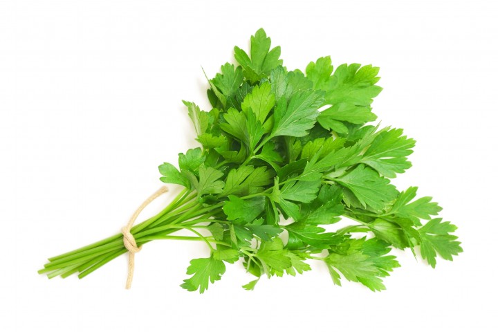 parsley bunch isolated on white background