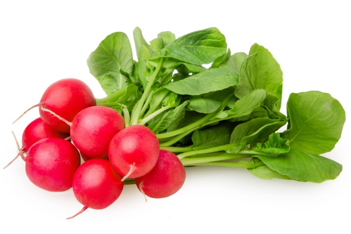 fresh radish isolated on white background