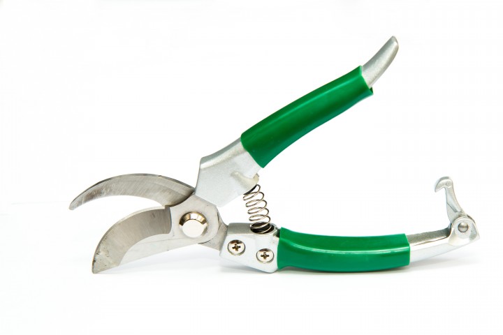 secature green pruning shears isolated on white background