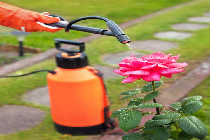 closeup garden sprayer in the garden