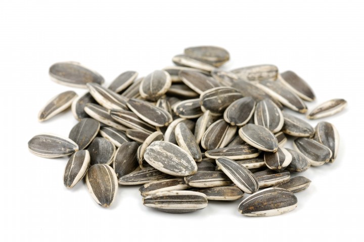 sunflower safflower seeds isolated