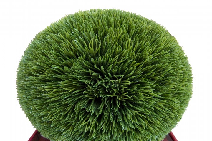 christmas decoration artificial green boxwood with silver apple and cones