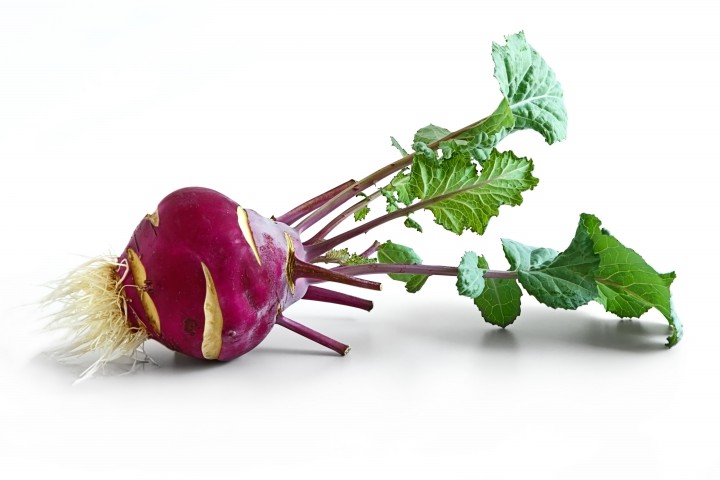 purple kohlrabi