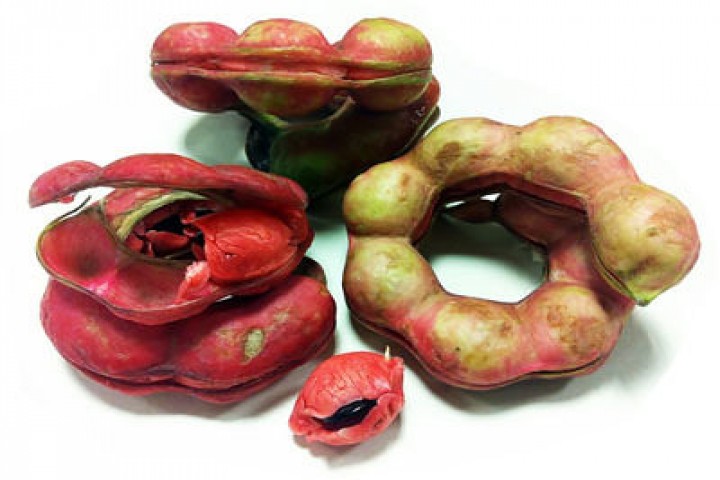 fresh vilayati imli on white background